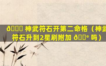 🐕 神武符石开第二命格（神武符石升到2星刷附加 💮 吗）